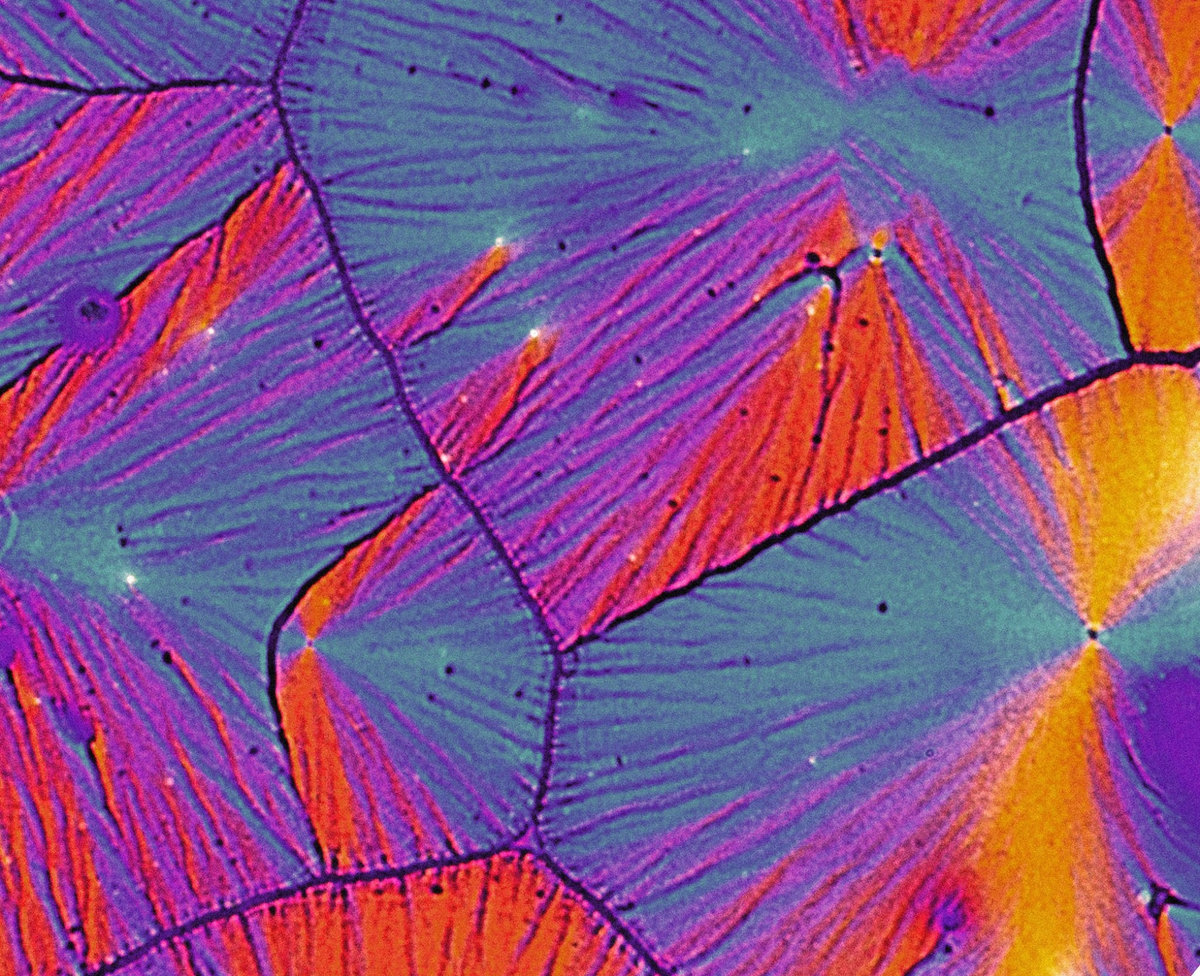 Various Artists Pt. 1