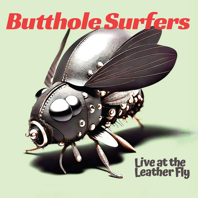 Live at the Leather Fly