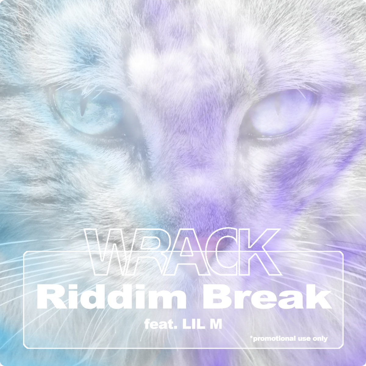 Riddim Break (feat. LIL M)