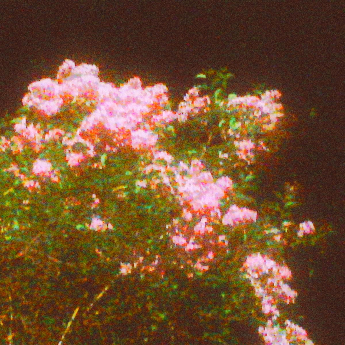 your perfect hands and my repeated words