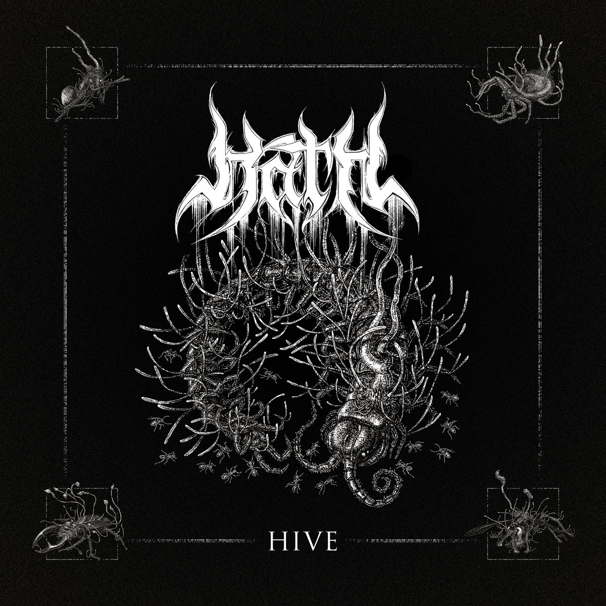 Hive (remastered with brand new track)