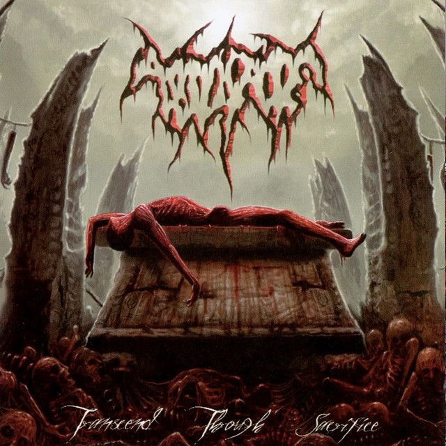 Transcend Through Sacrifice