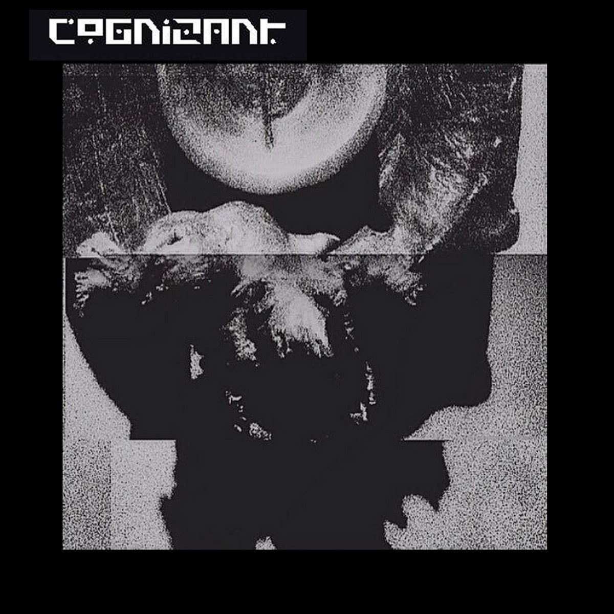 Cognizant - LP