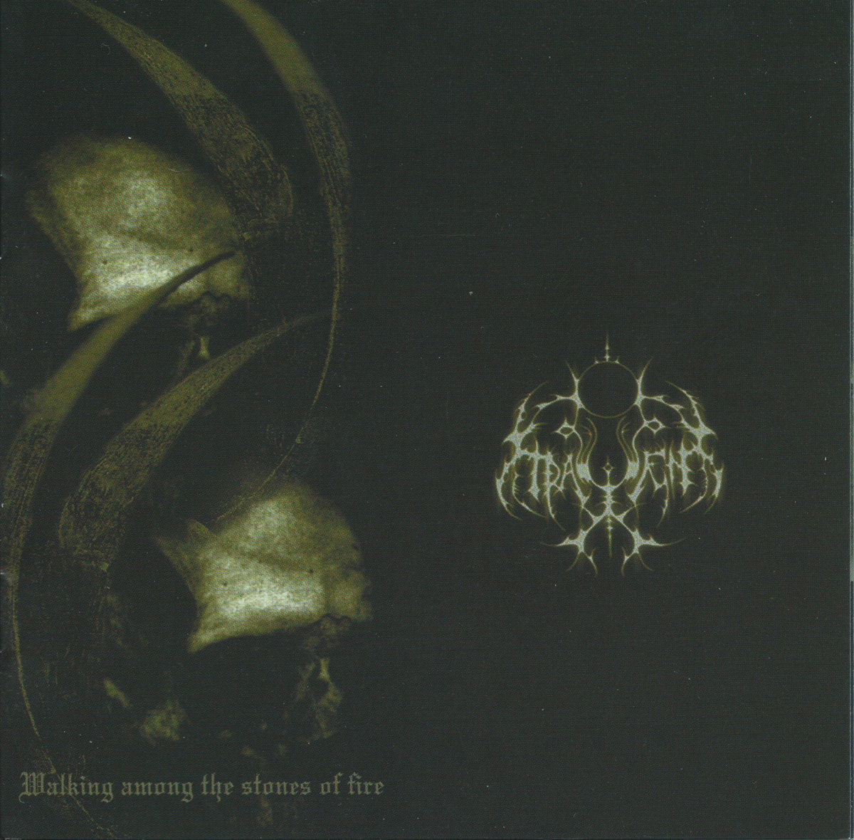 Walking among the stones of fire