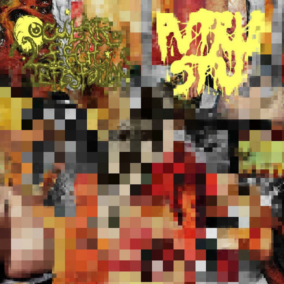 Split with Ocular Leech Infestation