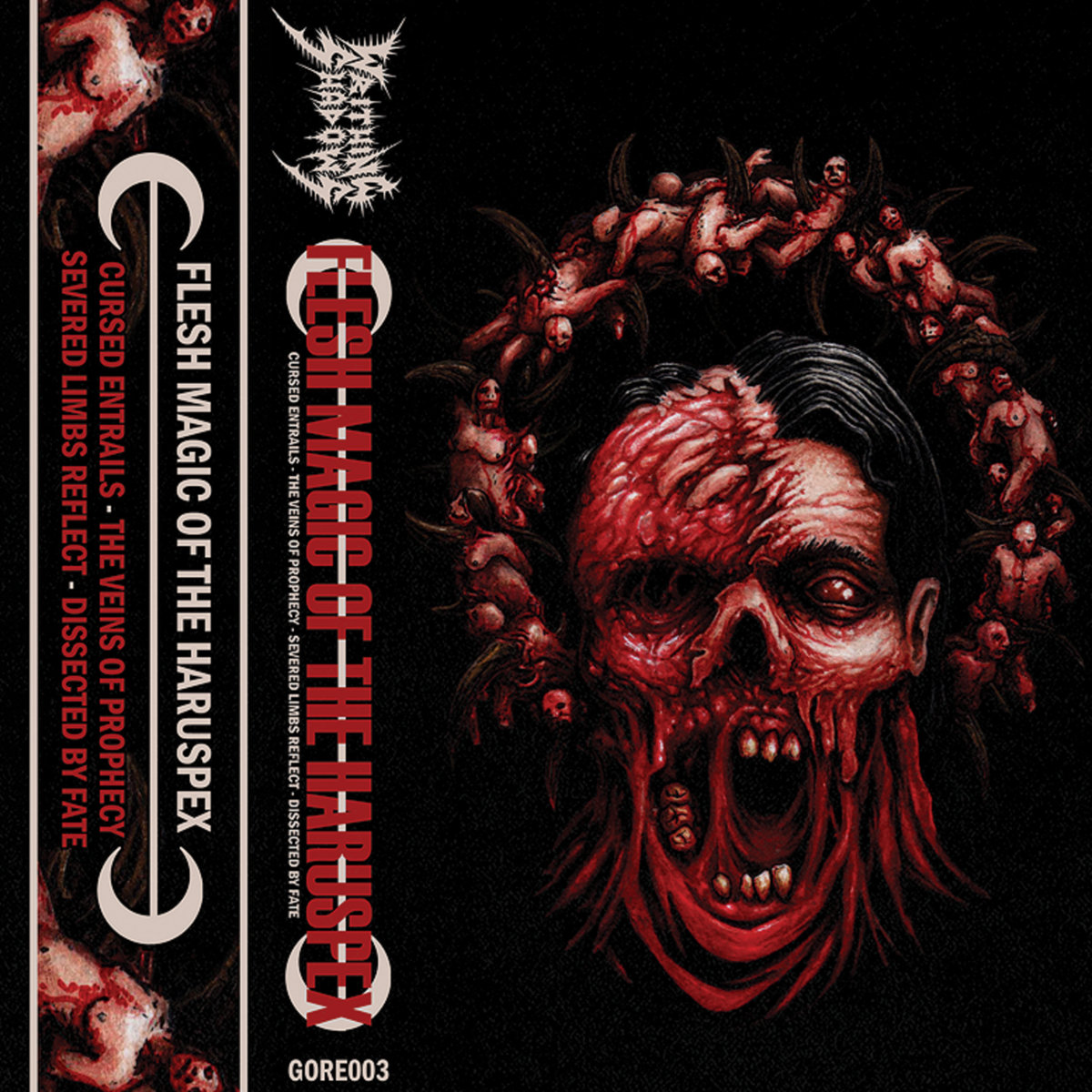 Flesh Magic of the Haruspex