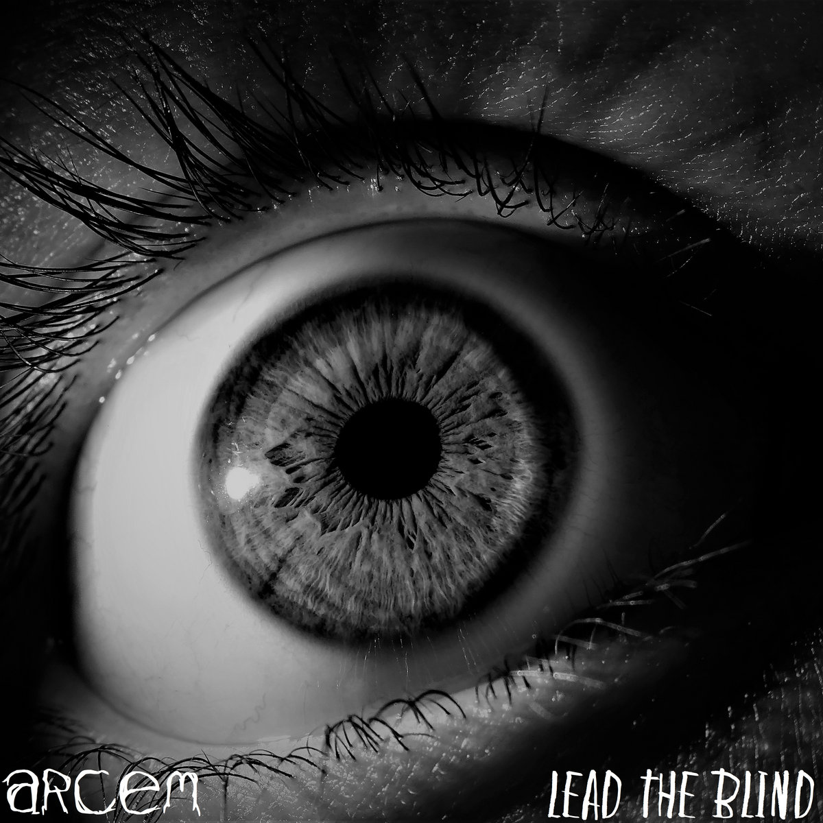 Lead the Blind (Single)
