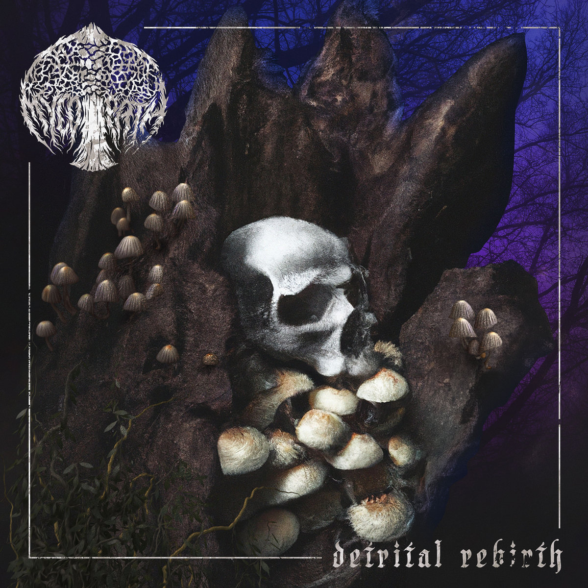 Detrital Rebirth