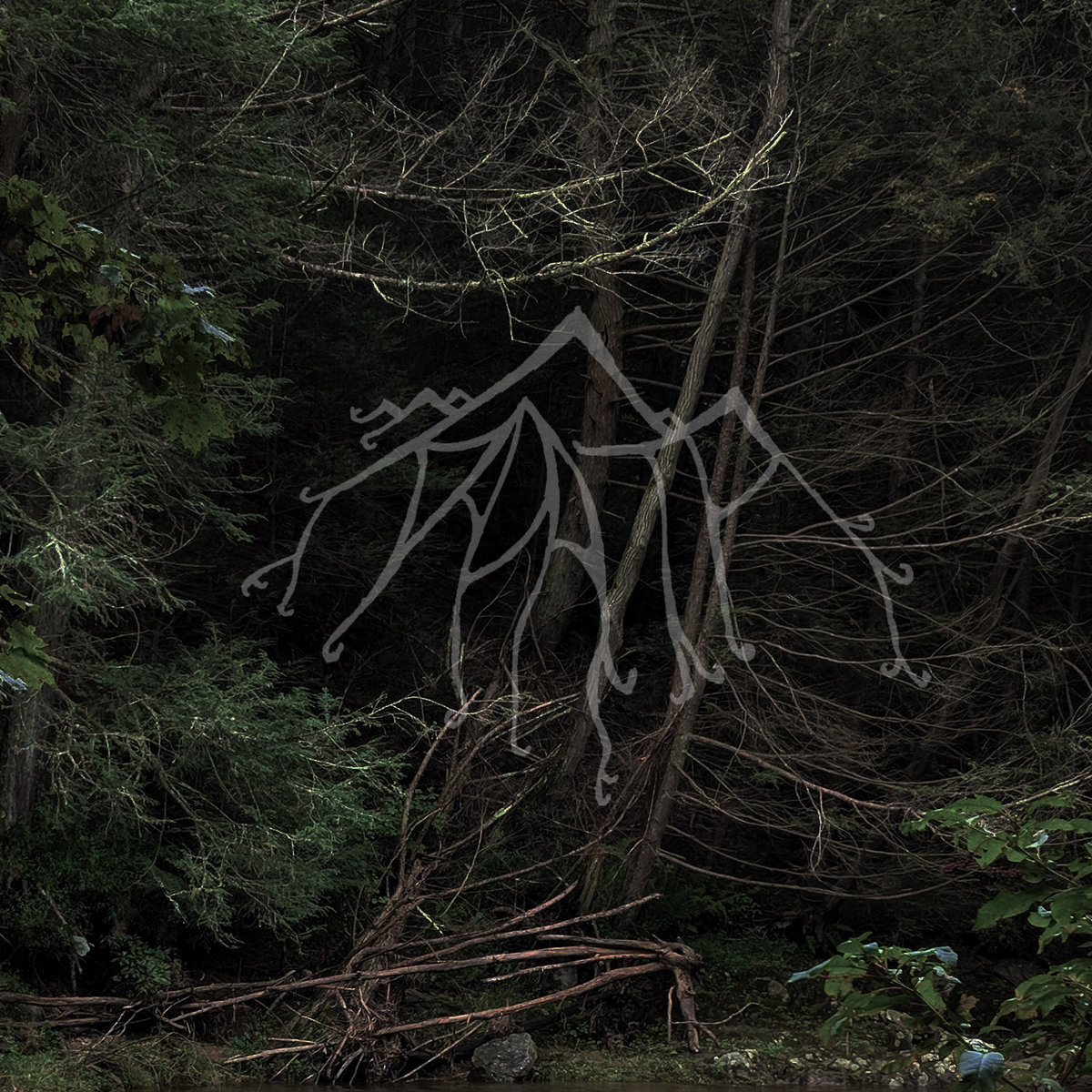 Descended At Last The Wide Marmoreal Flights