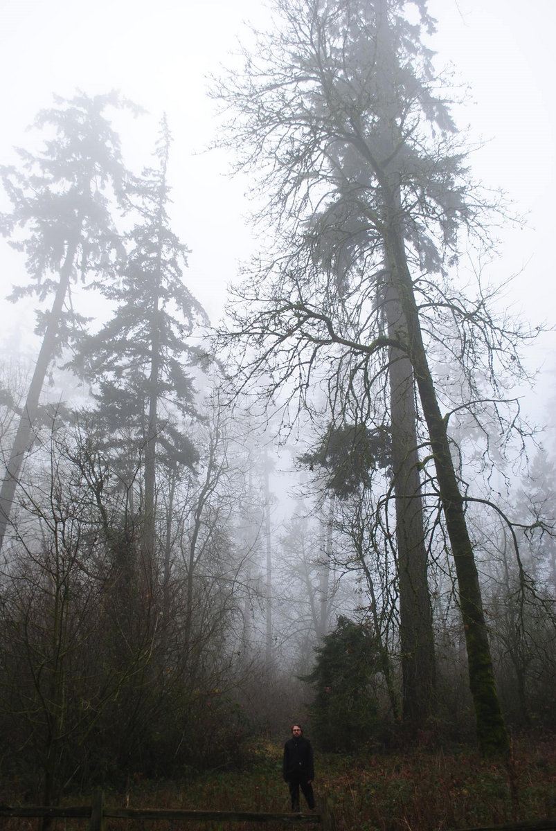 The Wind Through The Trees Said Nothing