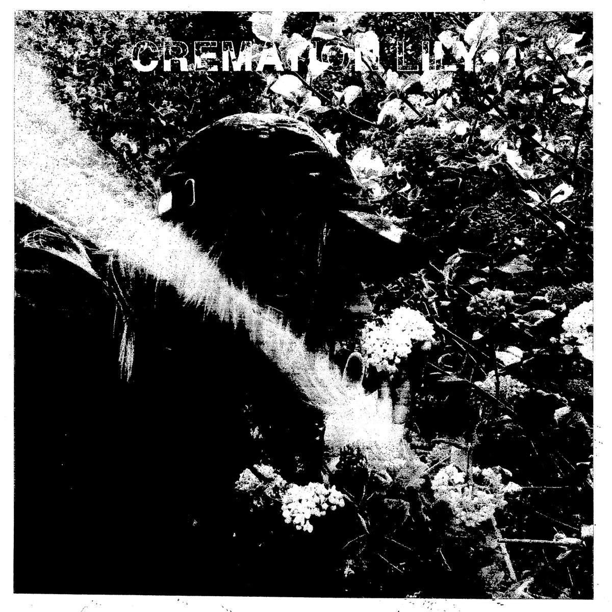 Cremation Lily Smells the Flowers