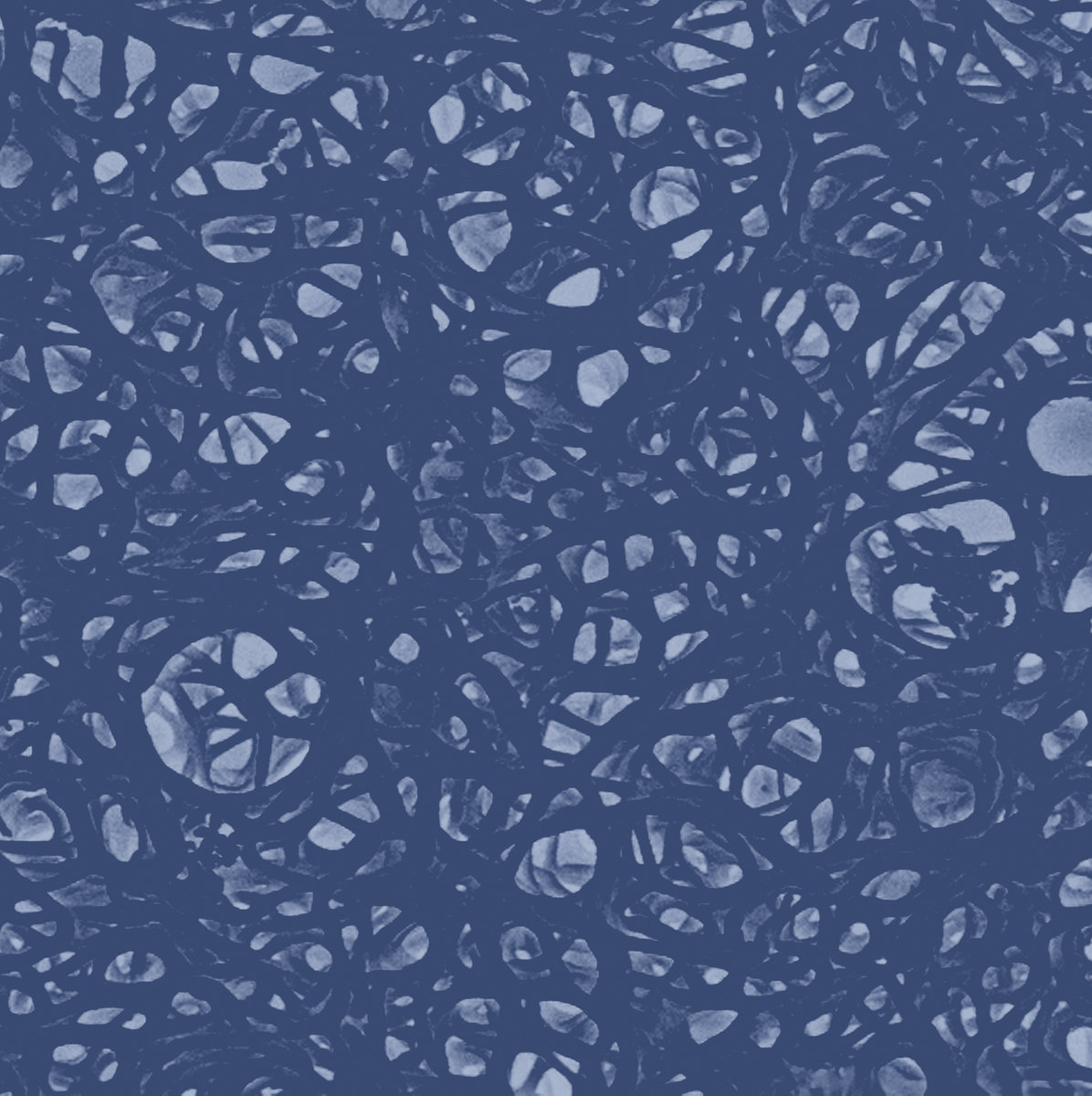 The Pillar of the Mind