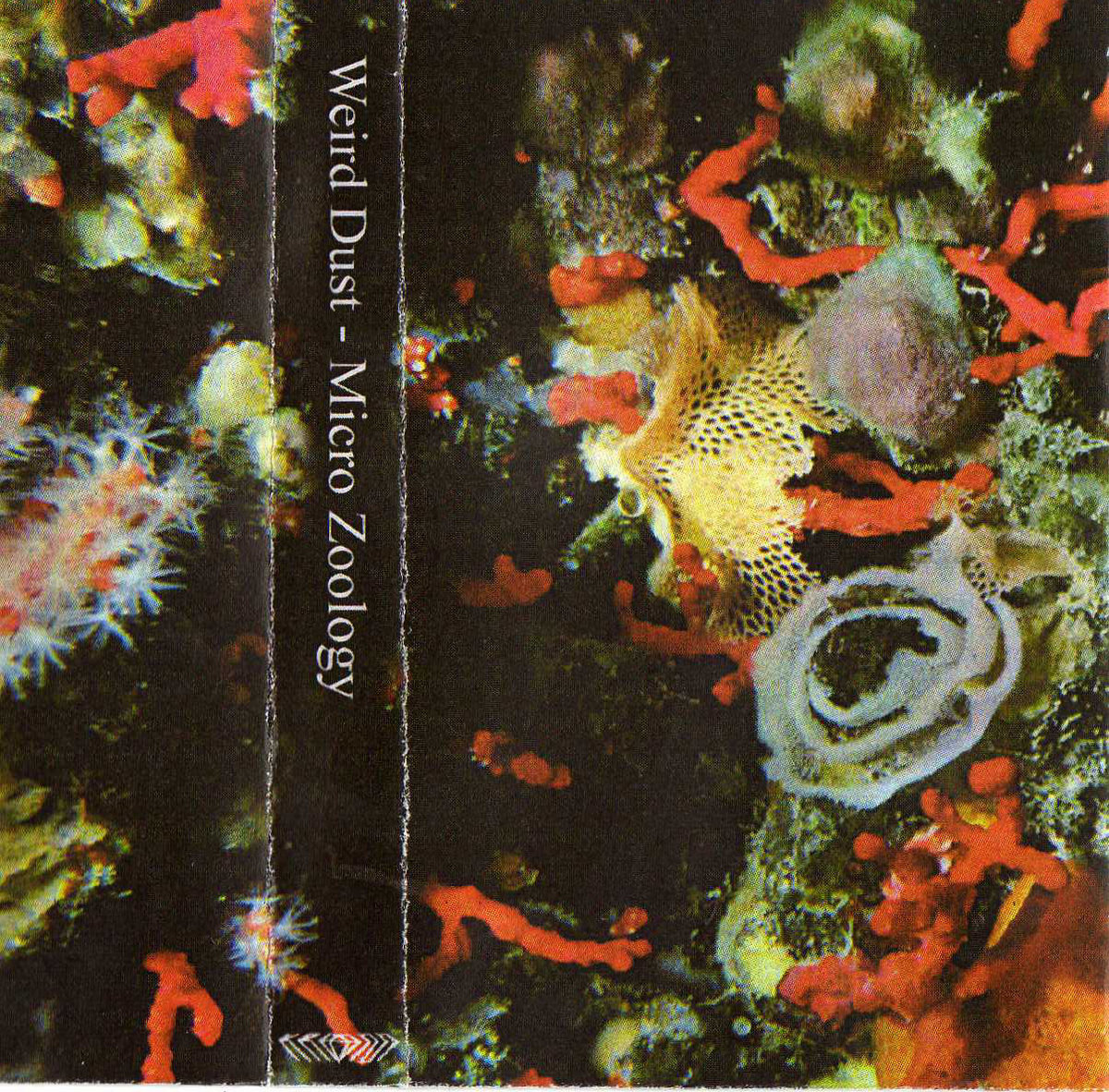 Weird Dust -  Weird Dust ‎– Micro Zoology (A Comprehensive Survey Of The Invertebrate)