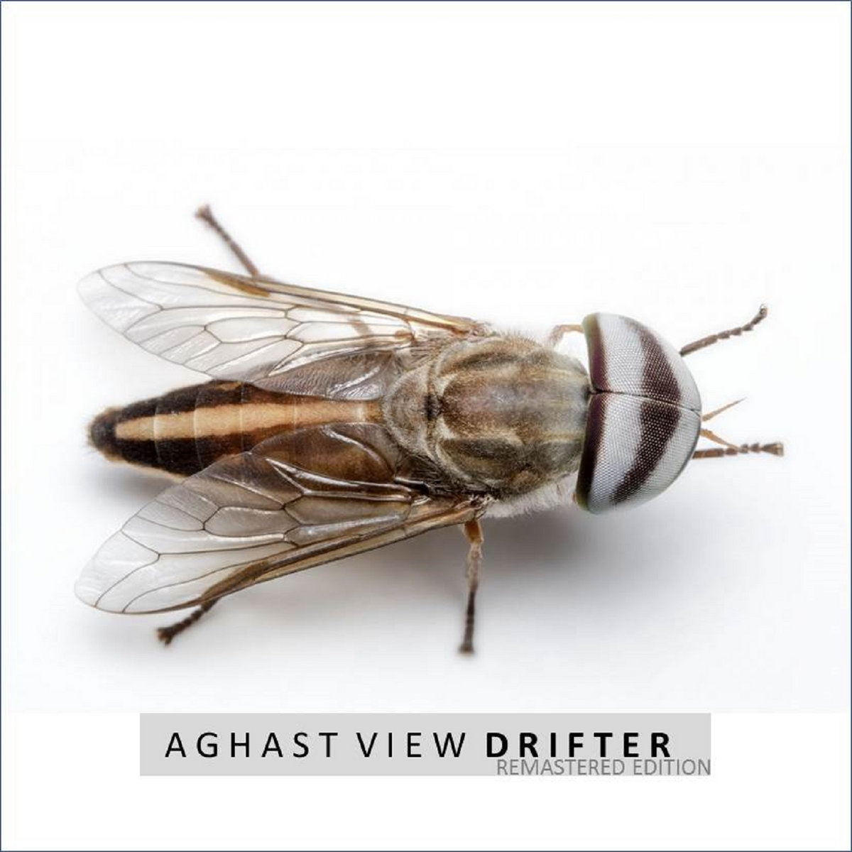 Drifter - Remastered Edition