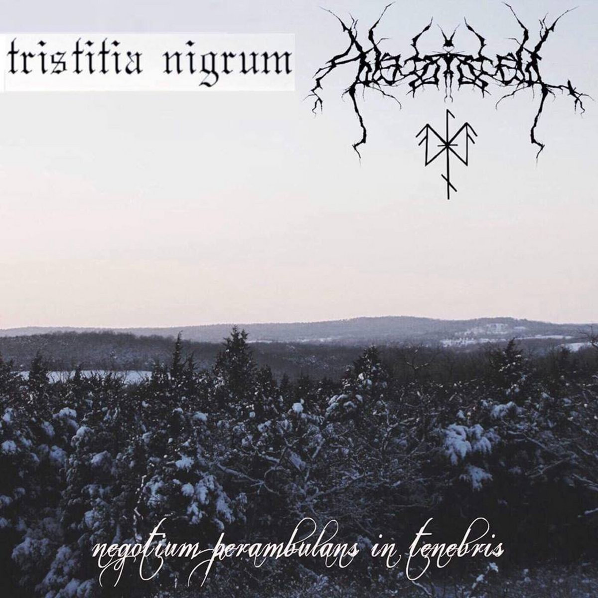 Negotium Perambulans in Tenebris