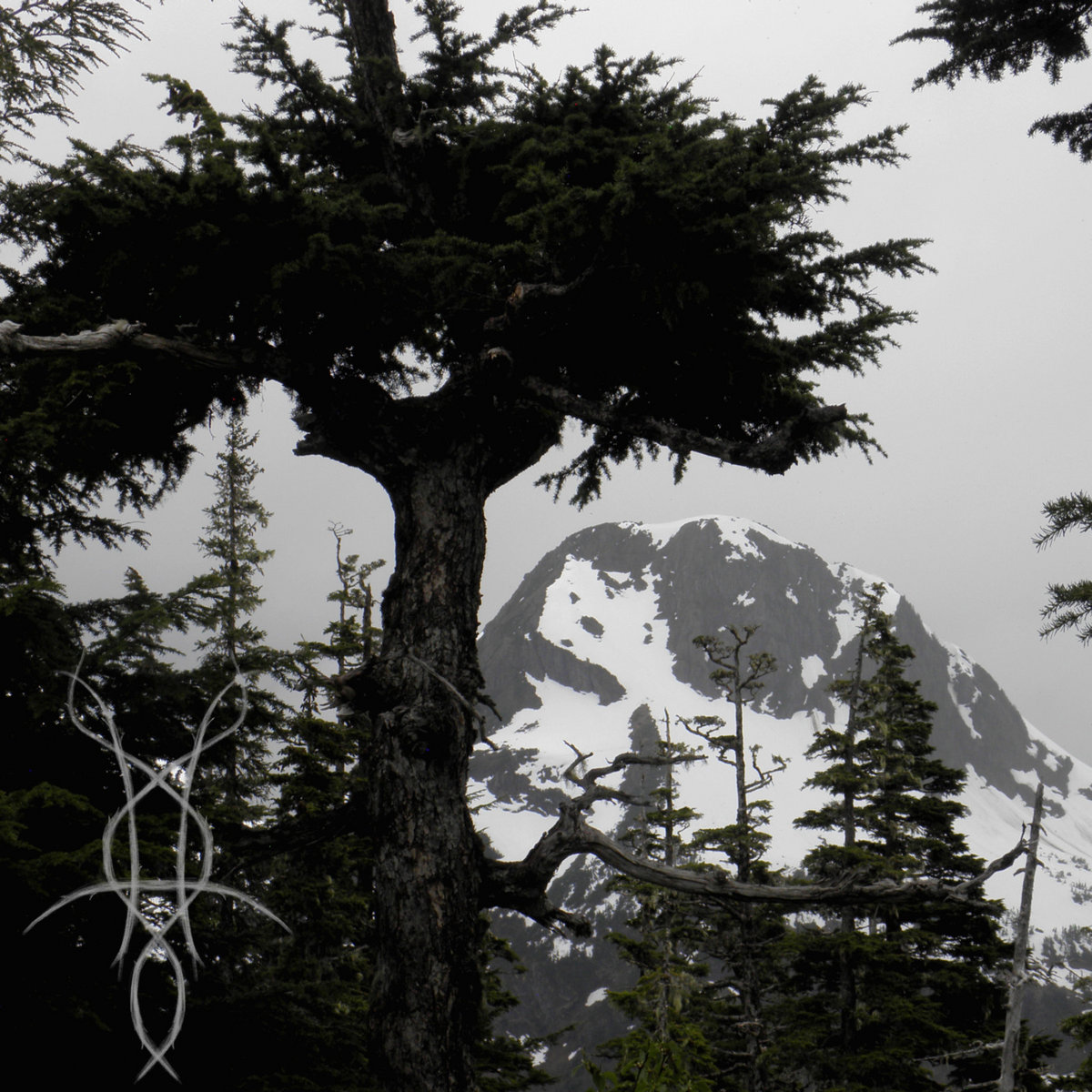 The Land of Moss & Snow