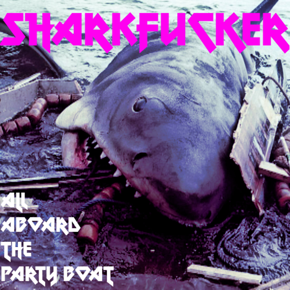 All Aboard the Party Boat