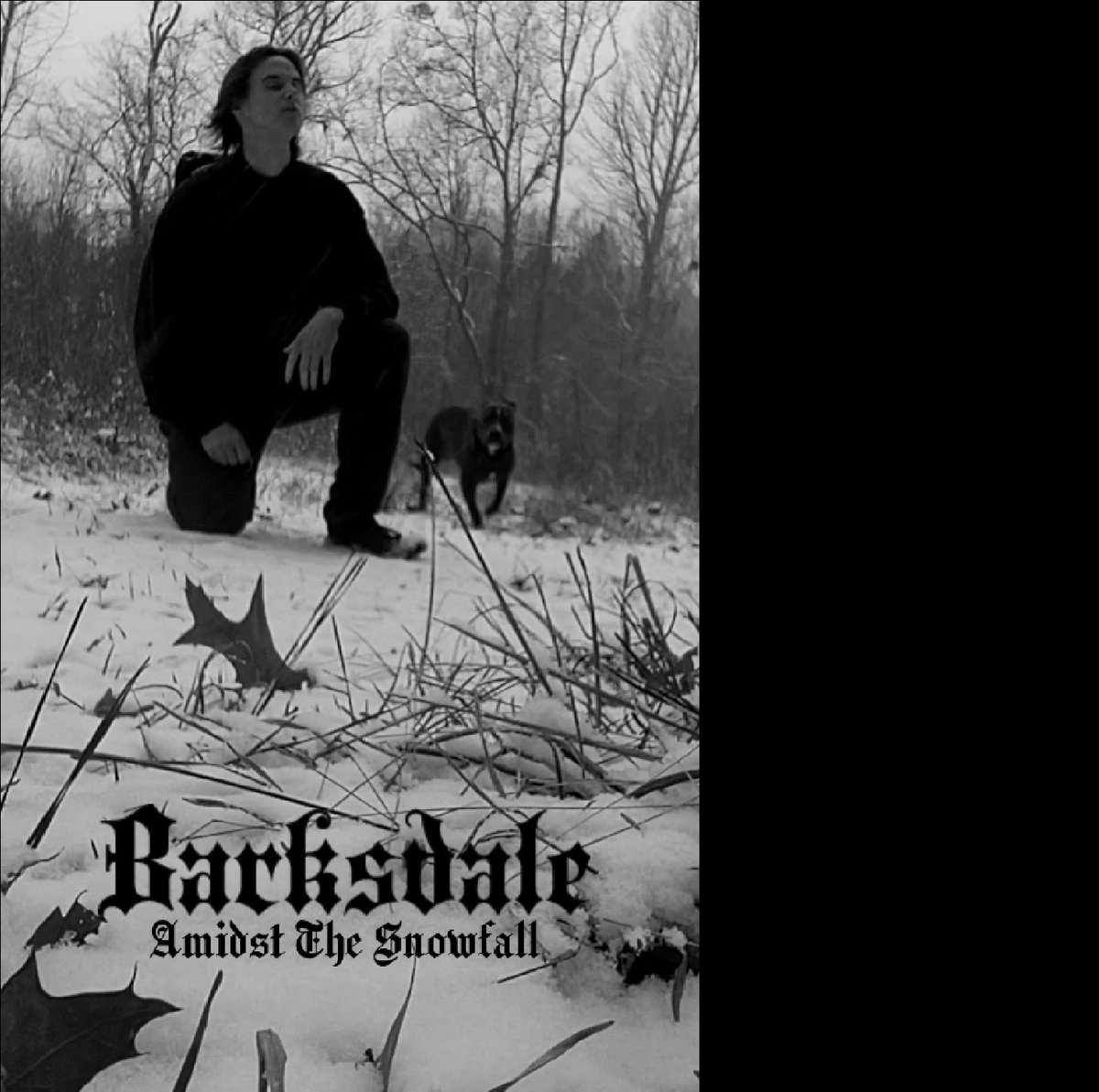 Amidst The Snowfall [EP]