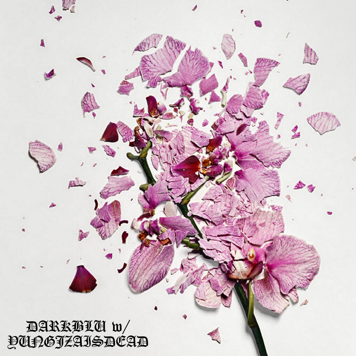 DarkBlu w/ YungJZAisDead