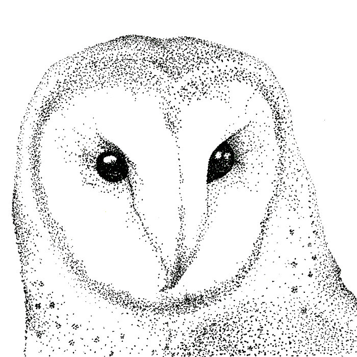 Lexicon Palace (2014)