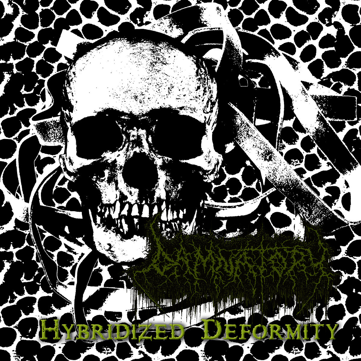 Hybridized Deformity (2023)