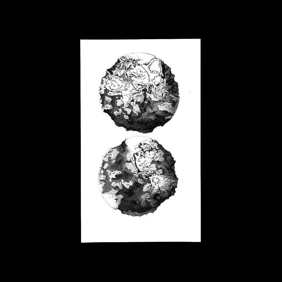 Earthenwomb / Mors Universa