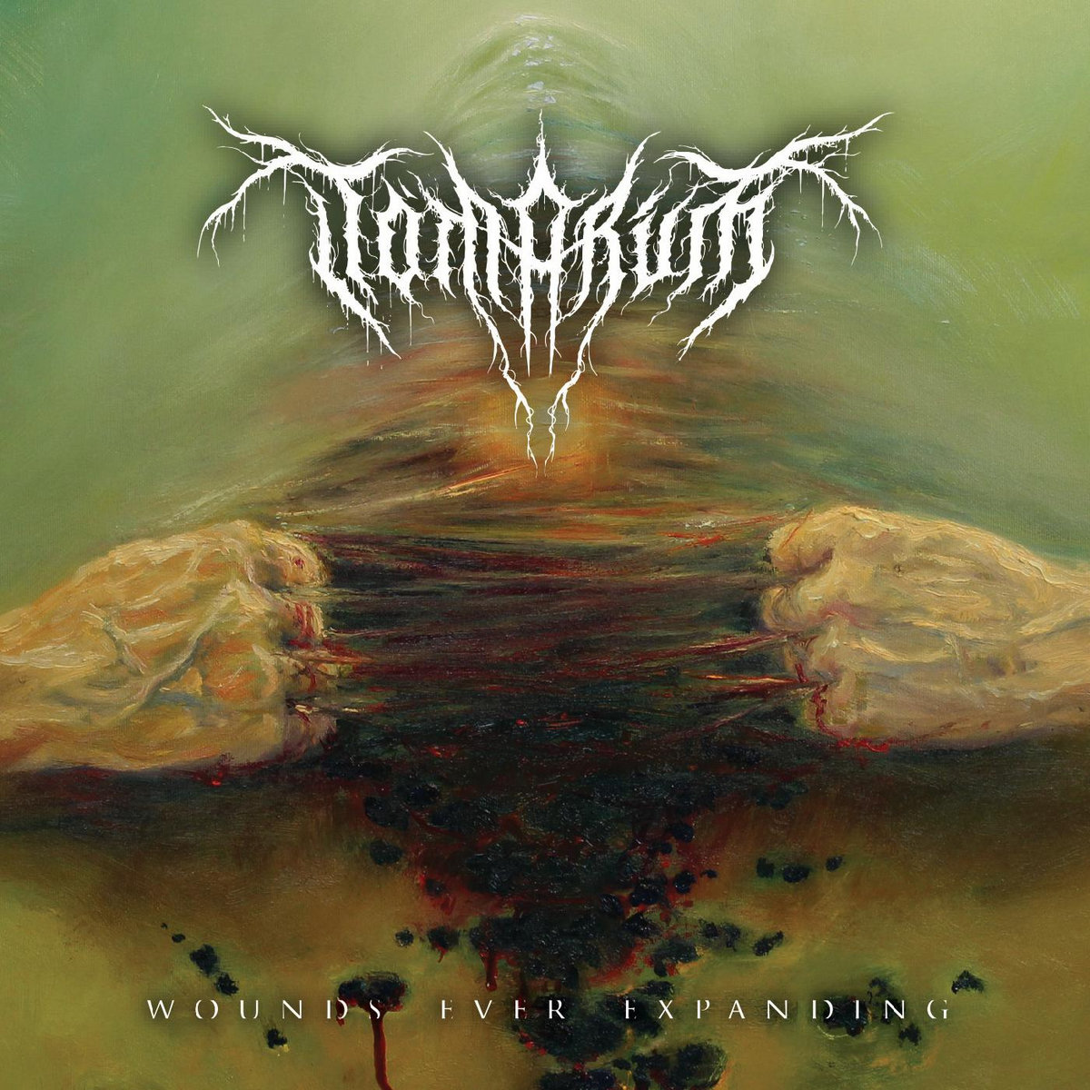 Wounds Ever Expanding