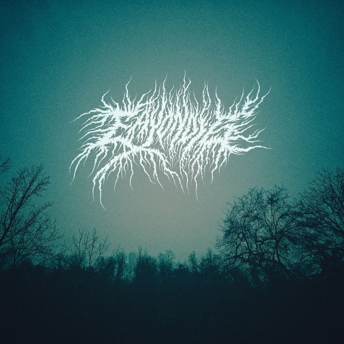 This Radiant Darkness