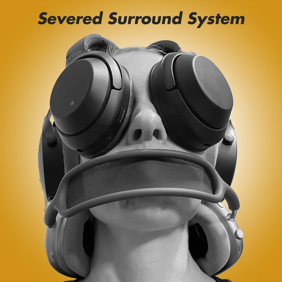Severed Surround System
