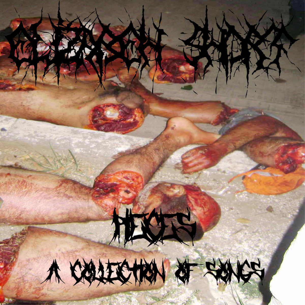 Pieces-A Collection Of Songs