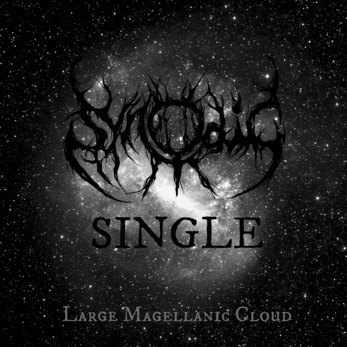 The Large Magellanic Cloud - SINGLE
