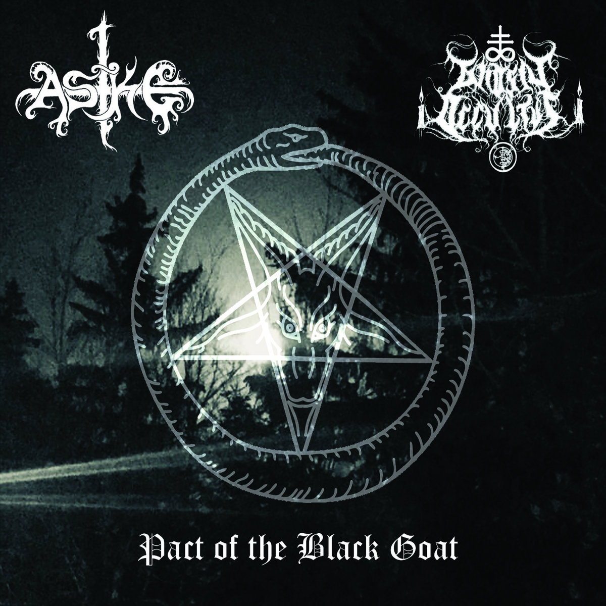 Pact Of The Black Goat (Split Album)