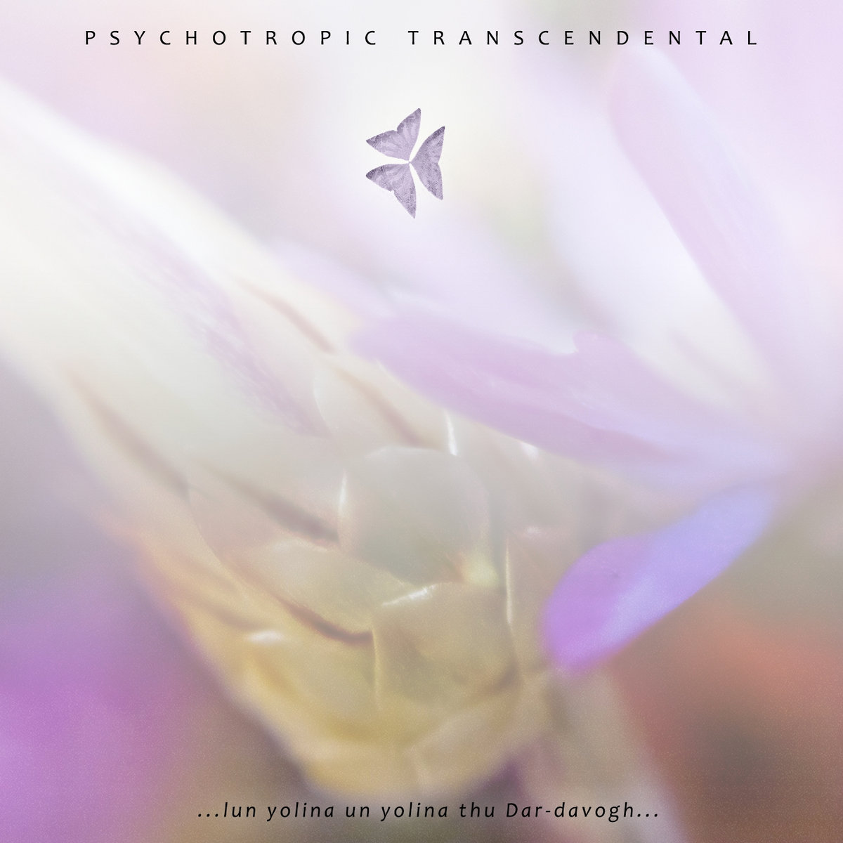 ... lun yolina un yolina thu Dar-davogh ...