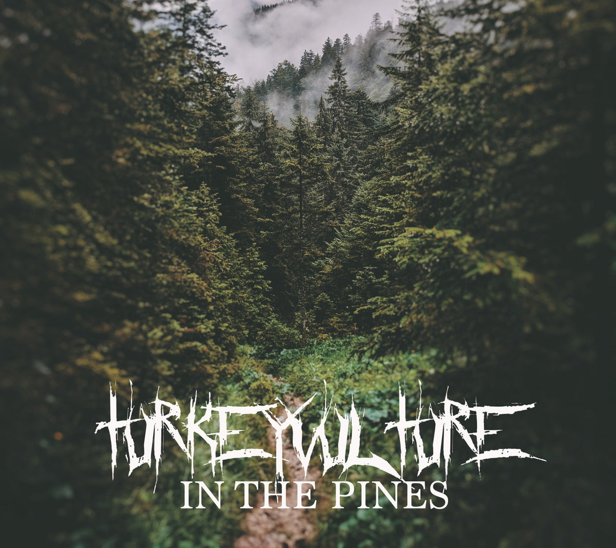 In the Pines -- Acoustic Demo