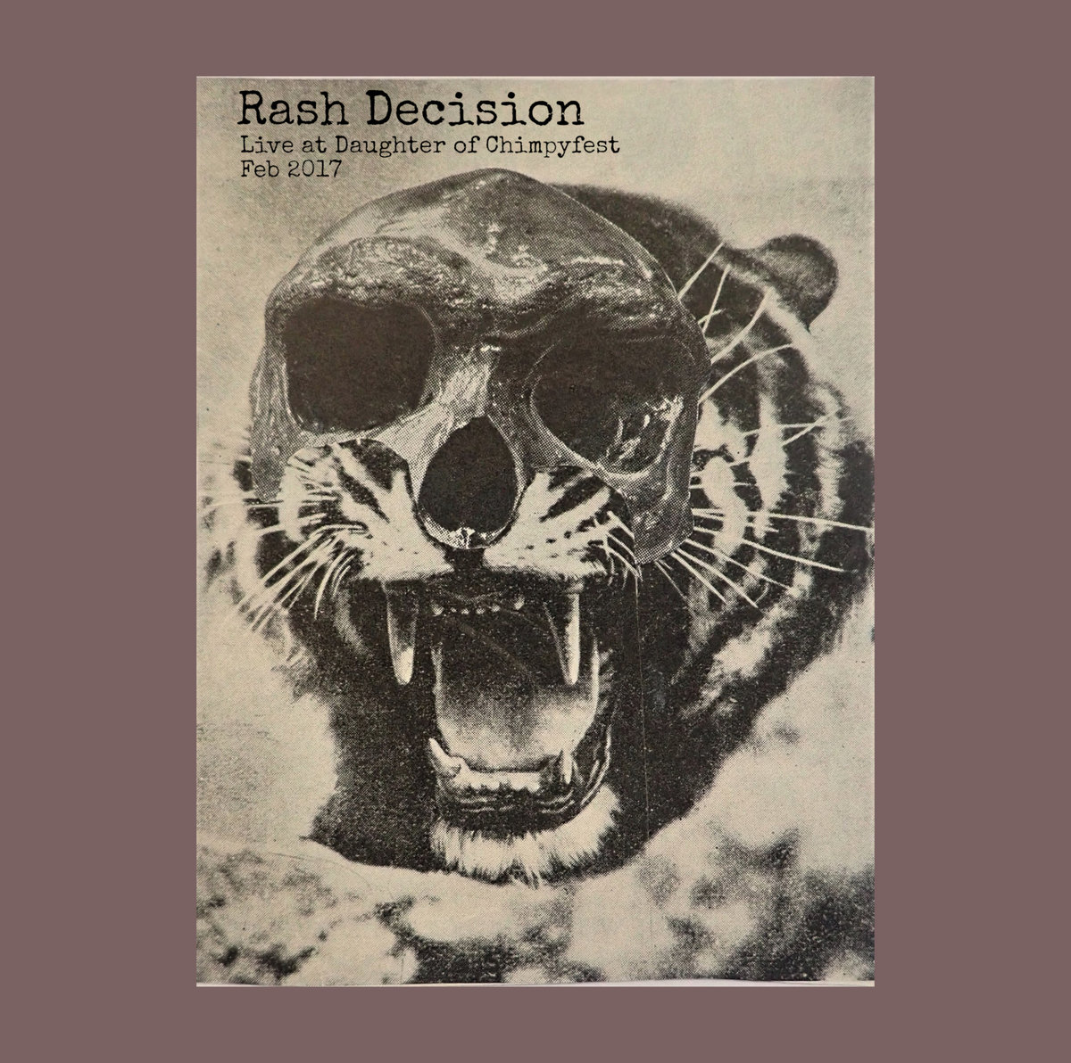 Live at Daughter of Chimpyfest - Feb '17