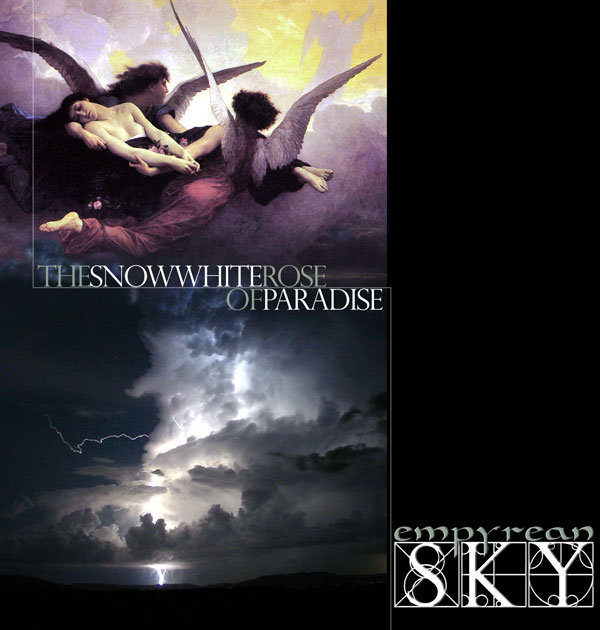 The Snow White Rose of Paradise