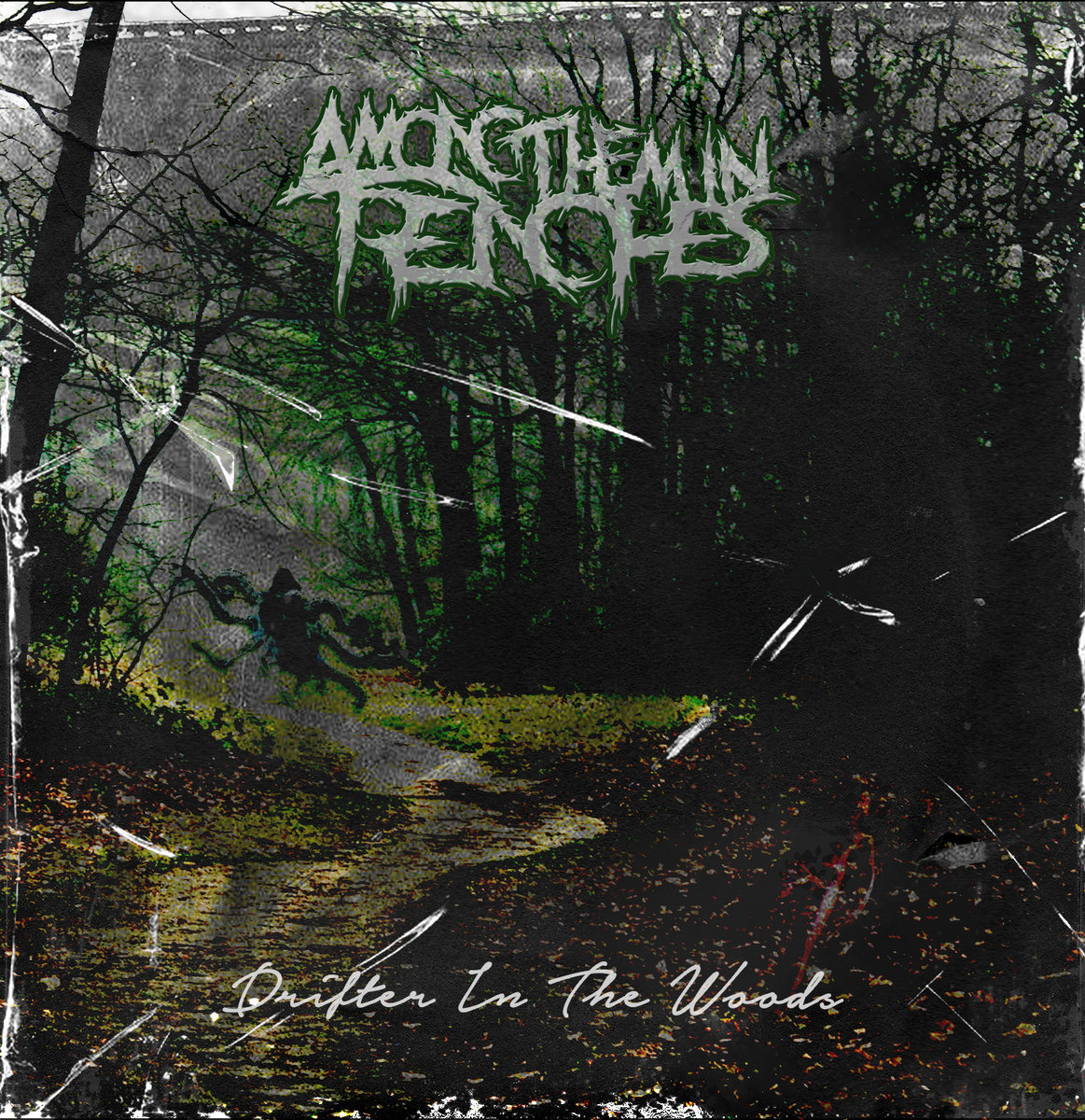 Drifter In The Woods