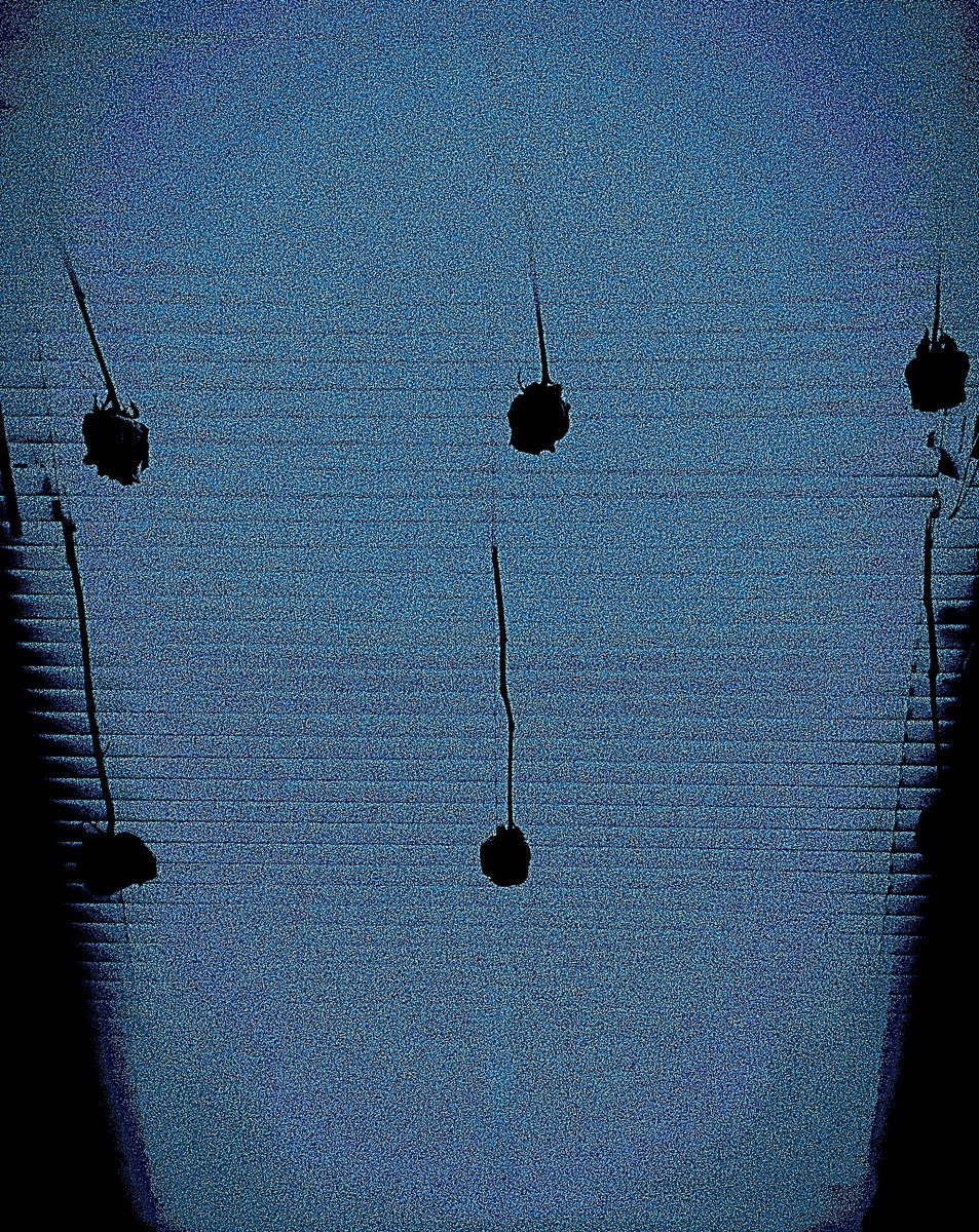 12.Across The Ways Of Humans, Only Lye The Lies Of There Reality