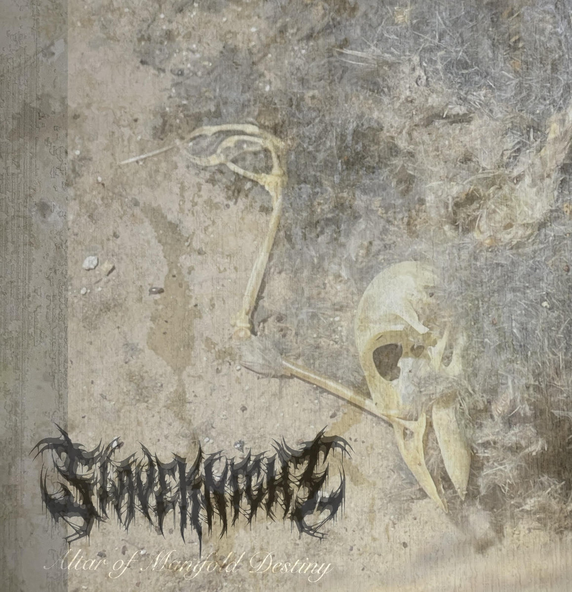 Altar of Manifold Destinty