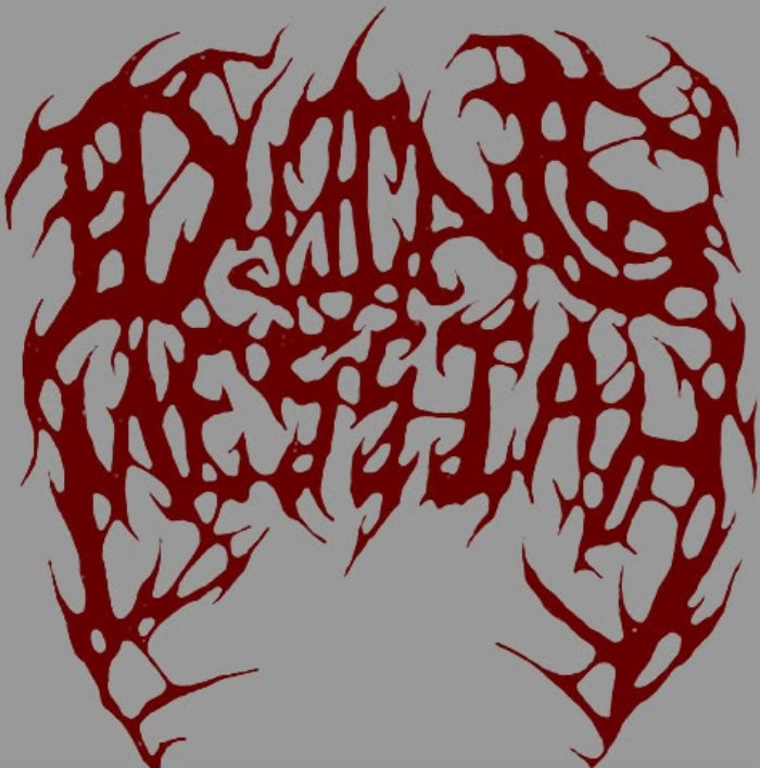 Last Night I Dreamt That Somebody Loved Me