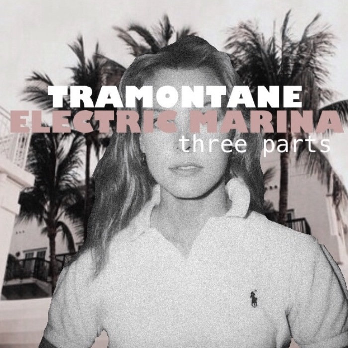 electricMarina
