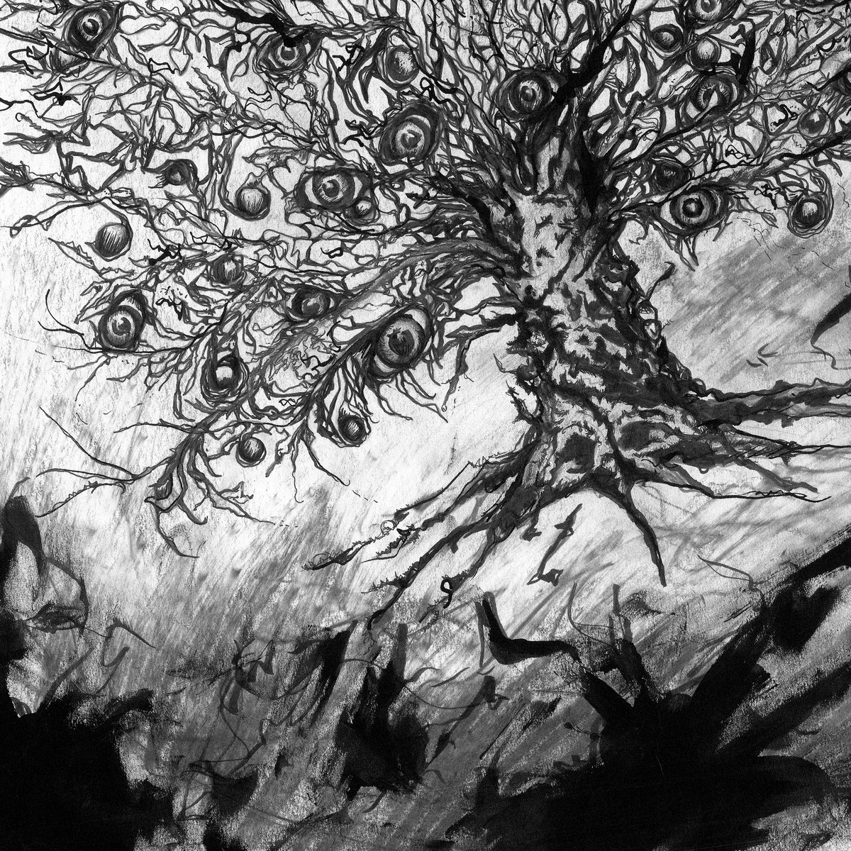 Rhythmic Reciprocity