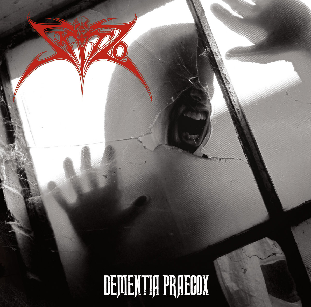 Skitzo Dementia Praecox