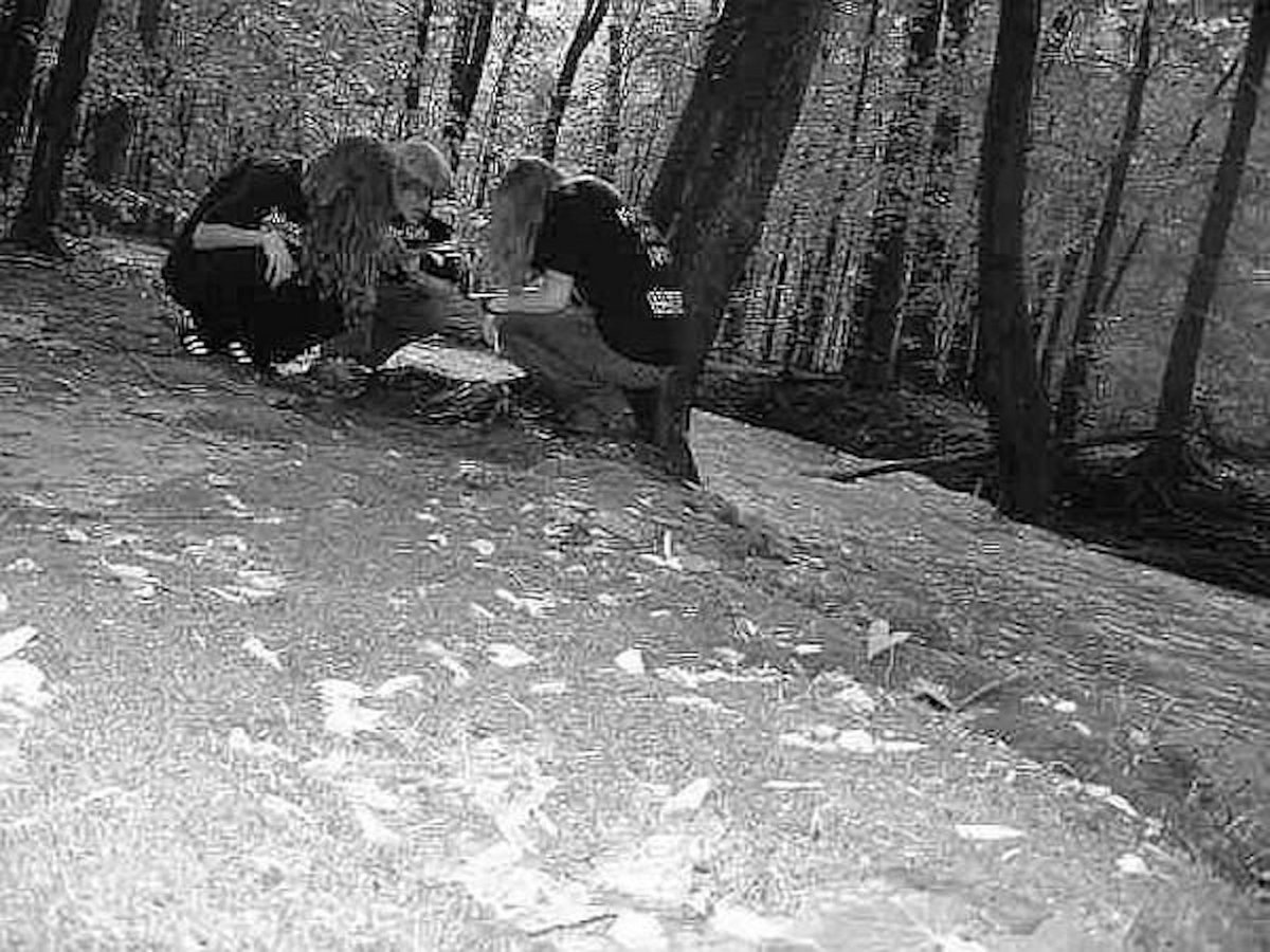 Shackled in Forests Forgotten