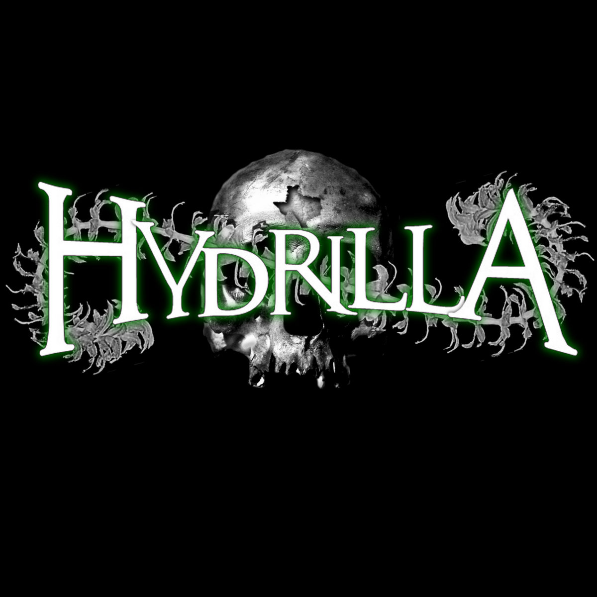 Hydrilla