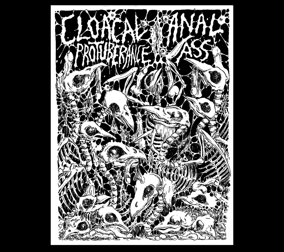 Split with Cloacal Protuberance