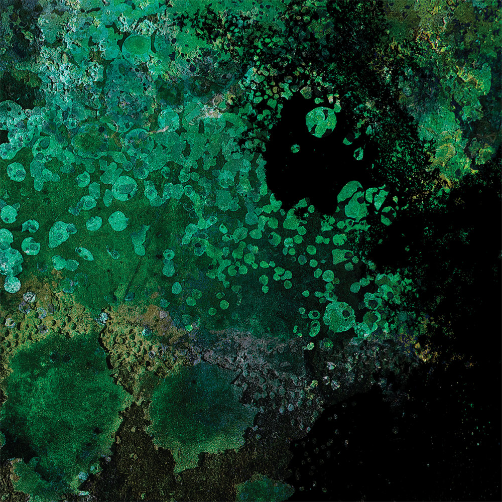 Breed in Me the Darkness