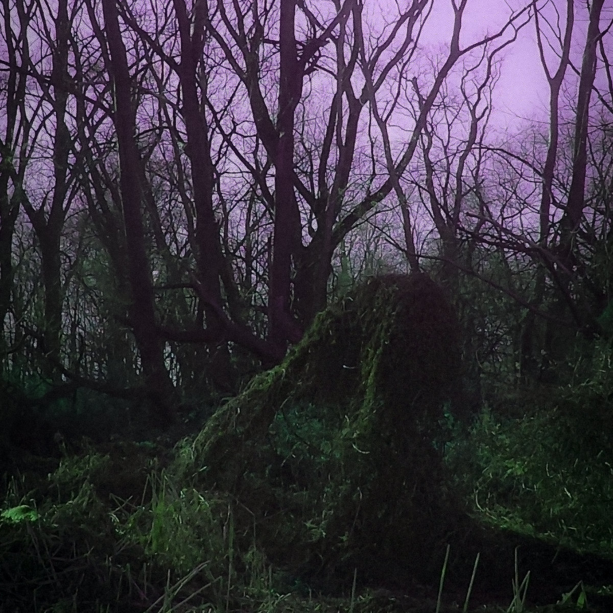 Ancestral Resonance - Single