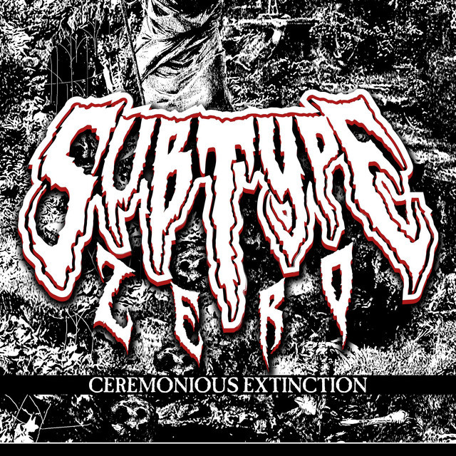 Subtype Zero
