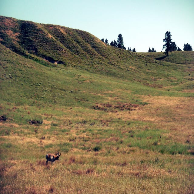 Across Tundras